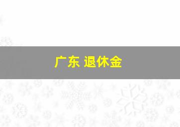 广东 退休金